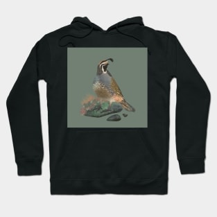 Quail on the Rocks Hoodie